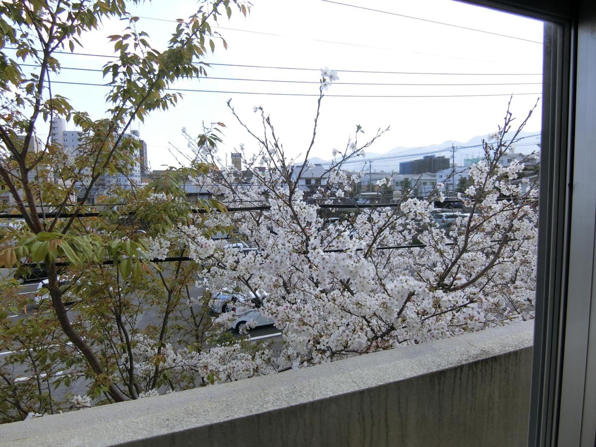 Simple Stay Beppu Pokój zdjęcie